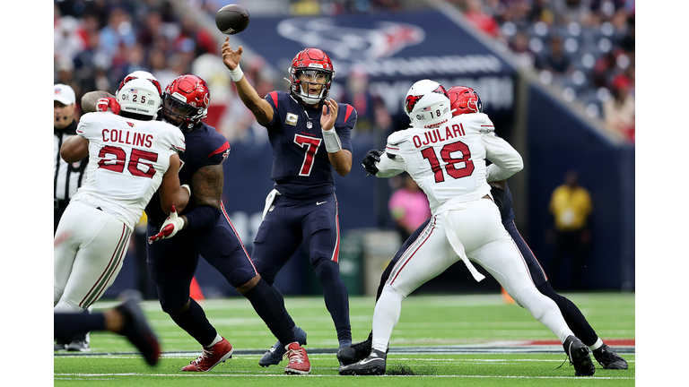 Arizona Cardinals v Houston Texans