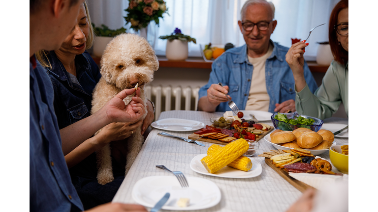 Man feeding his dog some cheese during family dinner
