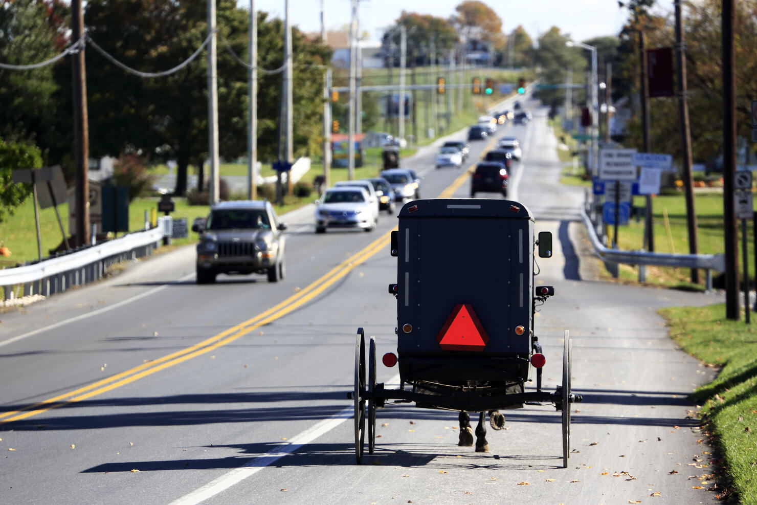 Amish buggy on local road