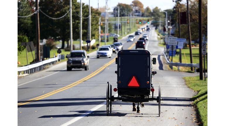 Amish buggy on local road