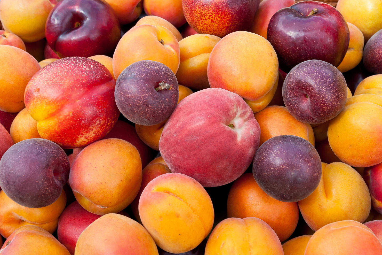 Pile of colorful fruits.