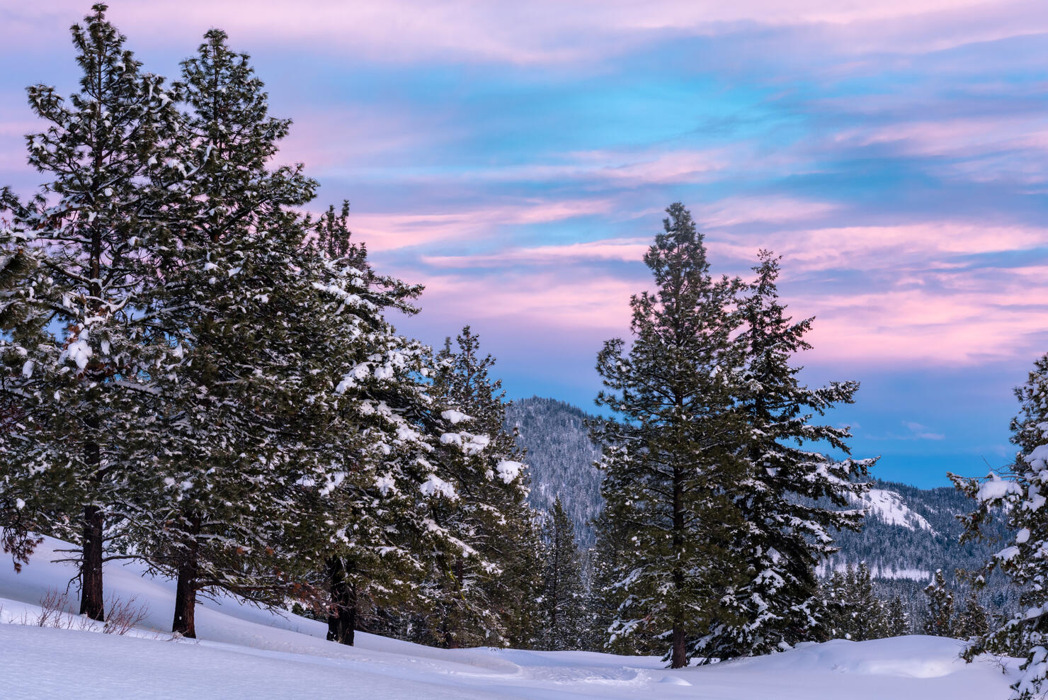 Winter Sunset