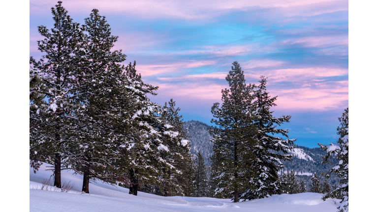 Winter Sunset