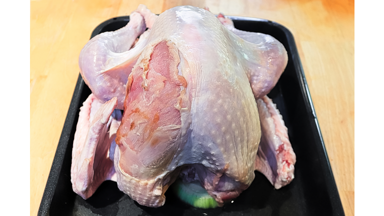 Closeup shot of utility turkey with its breast skin damaged