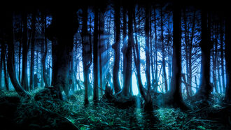 Black Friday Open Lines