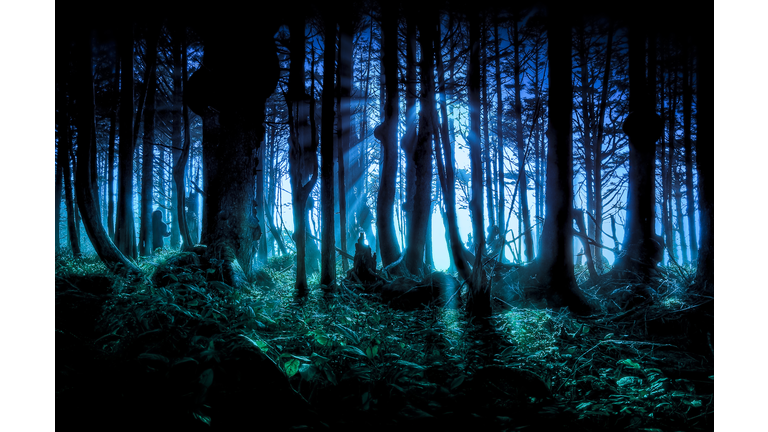 Peruvian Jungle 'Aliens' / Beatles Secret Archive