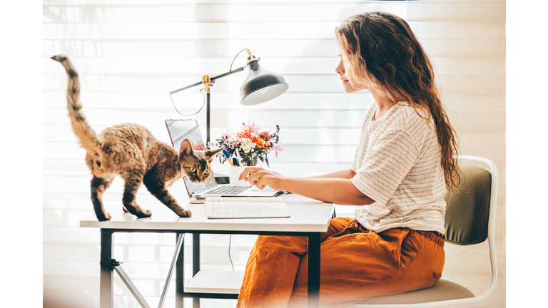 Woman working from home using laptop.