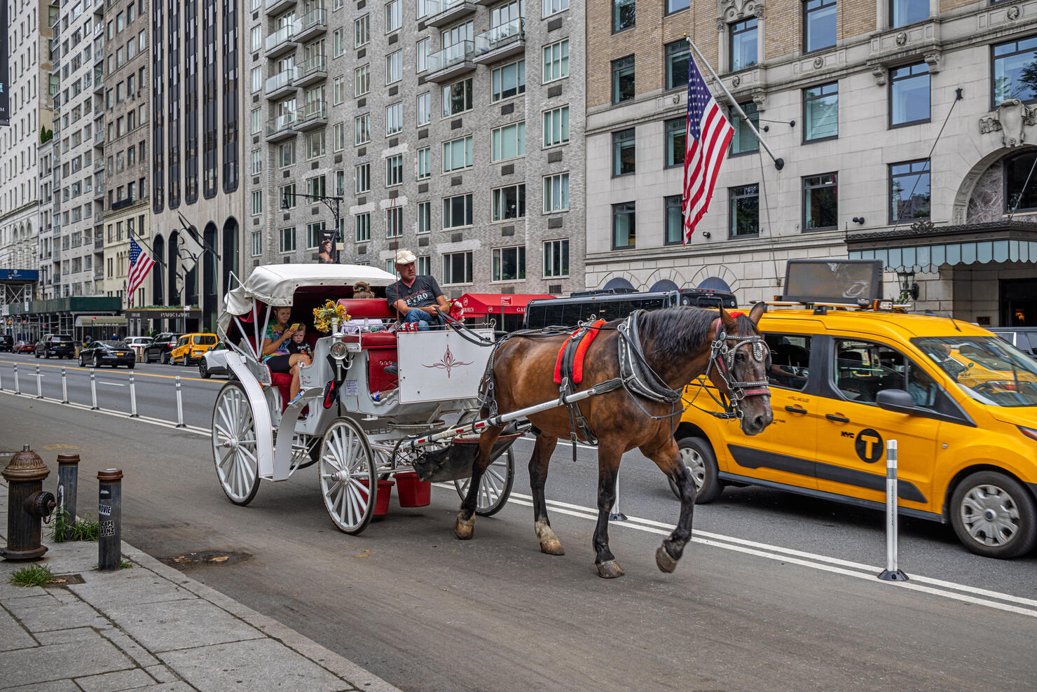 Horse carriage outside Central Park