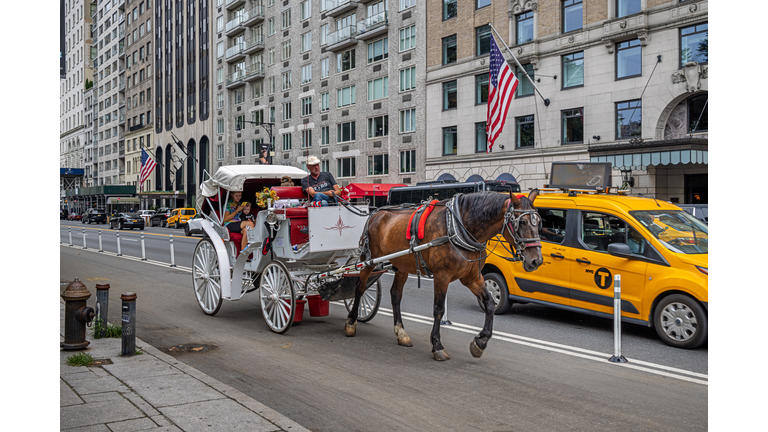 Horse carriage outside Central Park