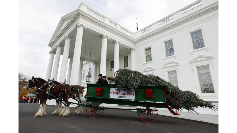 First Lady Jill Biden Receives The 2023 White House Christmas Tree