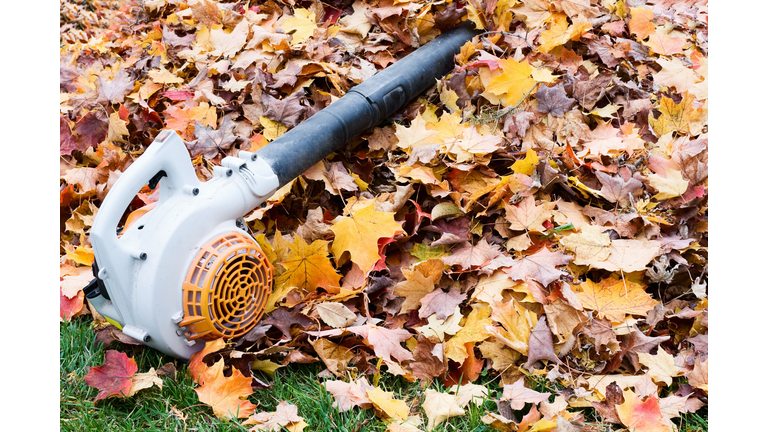 Leaf Blower on a Pile of Leaves. Fall Clean-Up