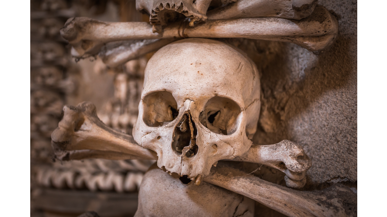 Enigmatic Explorations / UAP Update