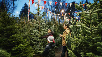 Grand Rapids offers options for Christmas tree disposal