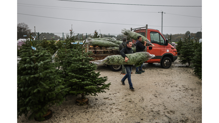 FRANCE-CHRISTMAS-TREE