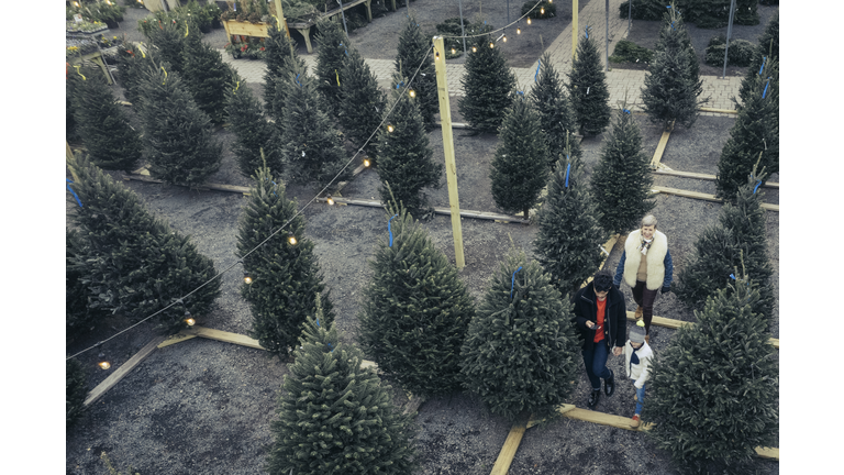 High angle view of family at Christmas tree farm