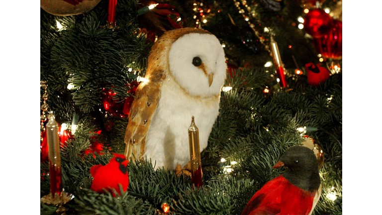 Laura Bush Hosts Preview Of White House Christmas Decorations 