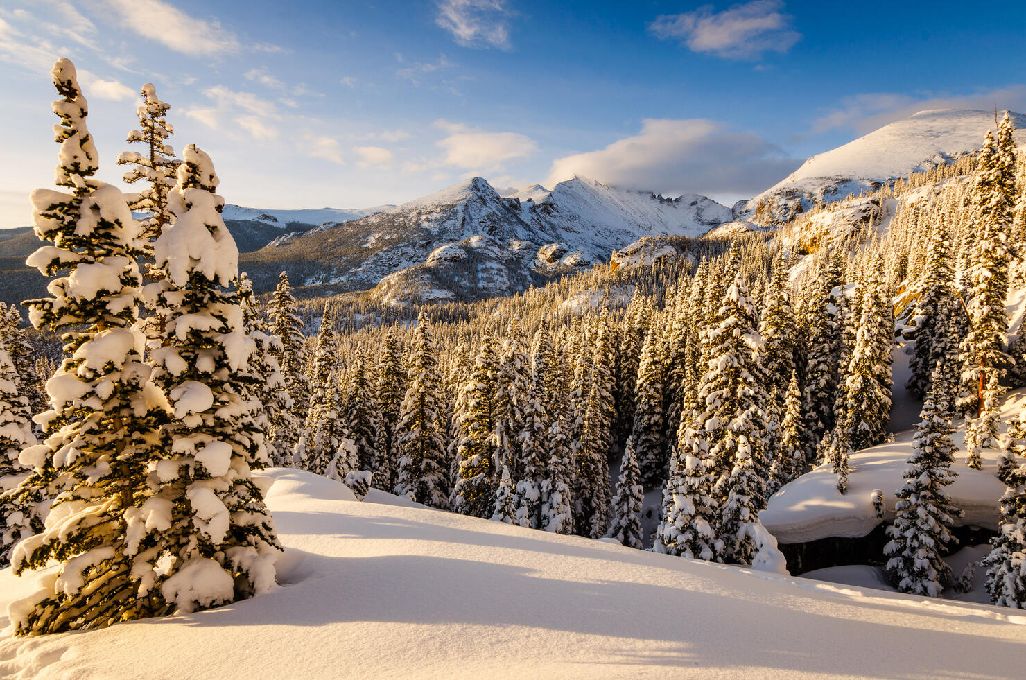 Landscape with snowy mountain, Rocky Mountain National Park, Colorado, USA