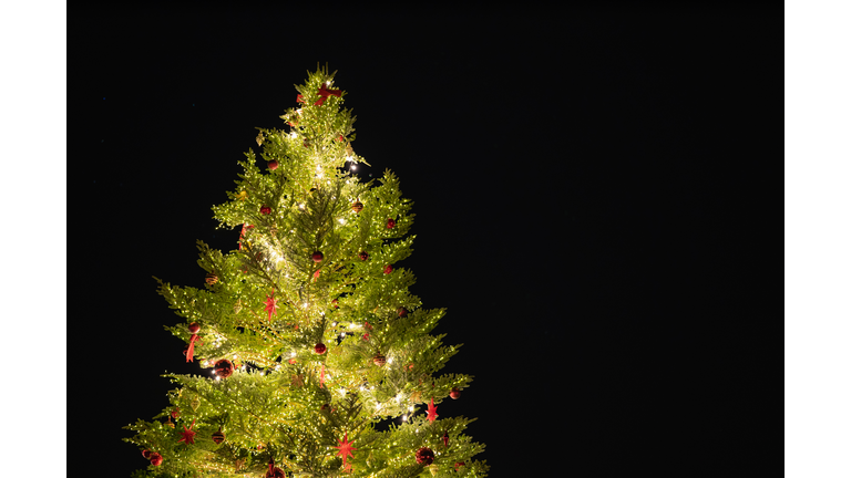 Illuminated christmas tree and christmas decorations.