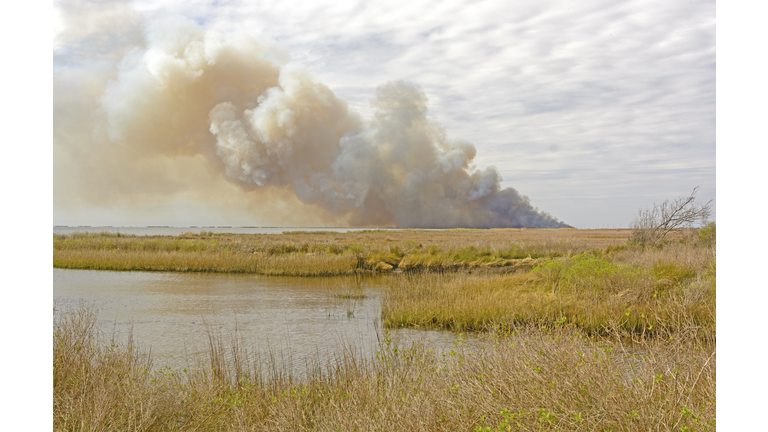 Wildfire in the Bayou