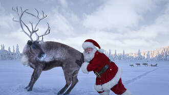 Buddy The Reindeer Found Safe After Escaping Christmas Event