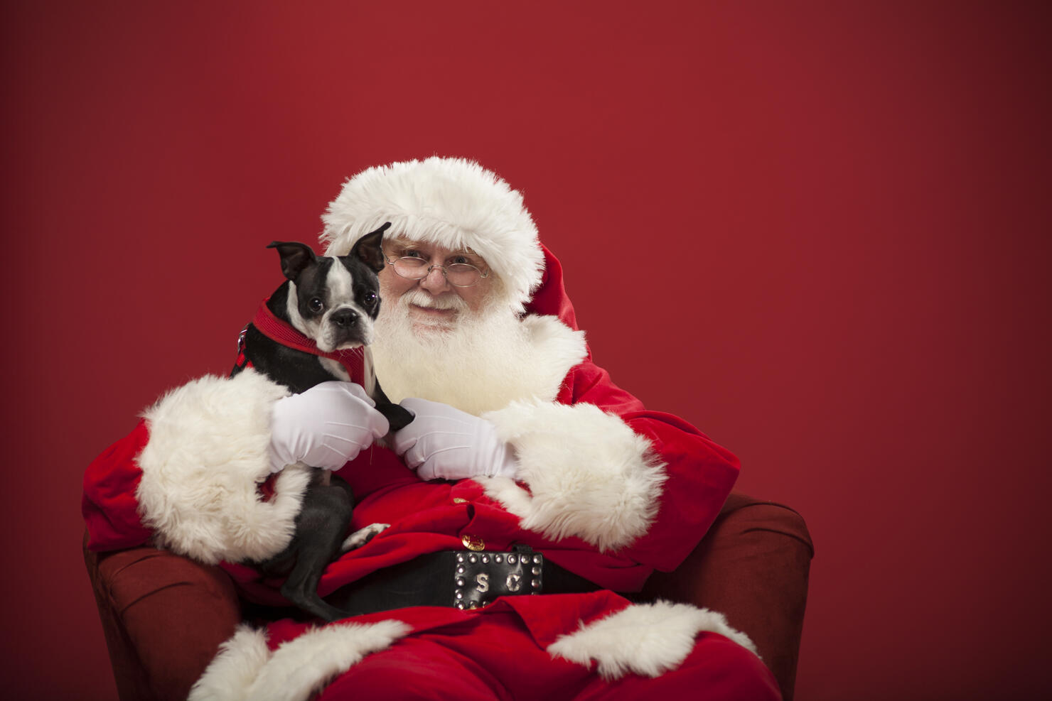 Real Santa holding a dog