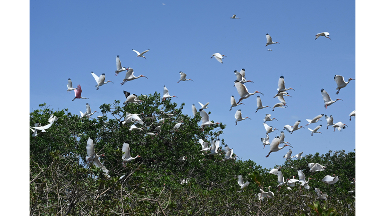 HONDURAS-ENVIRONMENT-NATURE-POLLUTION