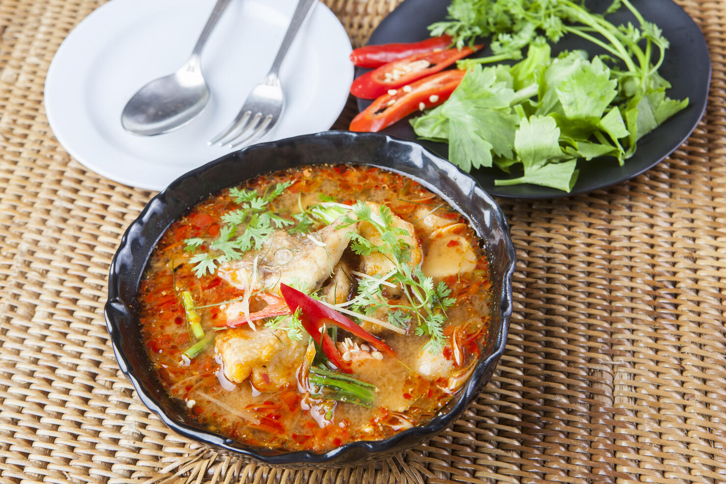 spicy thai cuisine with red curry and herb