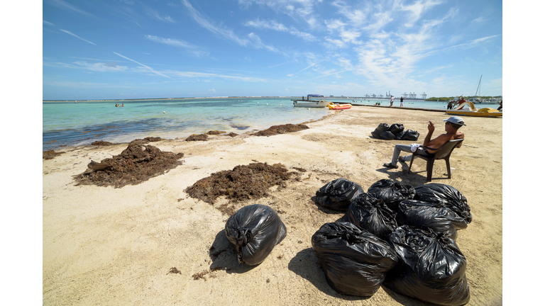 DOMINICAN REP-ENVIRONMENT-TOURISM-SARGASSUM