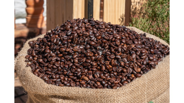 A group of defects (or damaged) coffee beans after roasted, Someone use it for decoration cafe or garden.