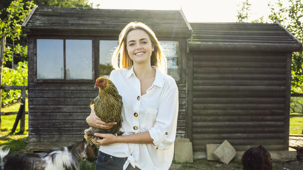 Millennials Have Developed A Love Affair With “Pet Chickens”