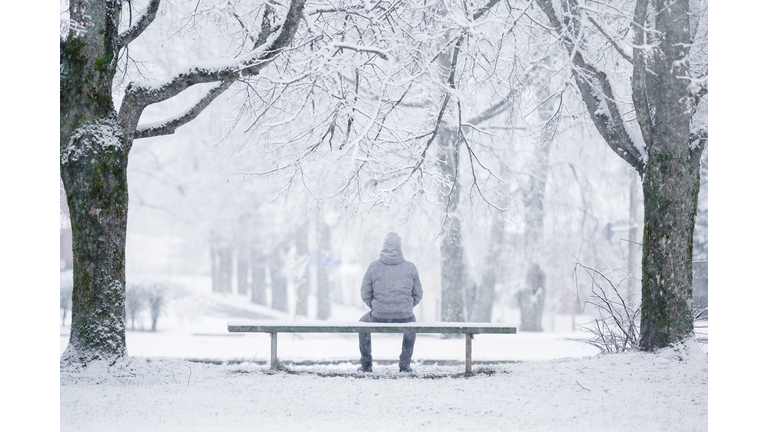 One young adult man sitting on bench between trees at park in white winter day after blizzard. Fresh first snow. Thinking about life. Spending time alone in nature. Peaceful atmosphere. Back view.