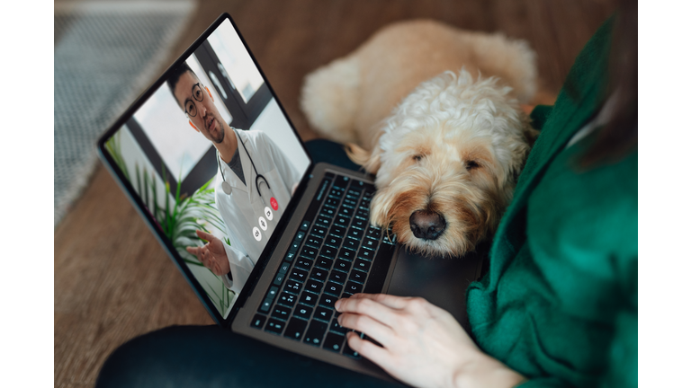 Young Asian woman having online medical consultation with veterinary via laptop with her dog sitting on her lap