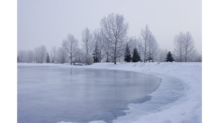 Frozen Pond