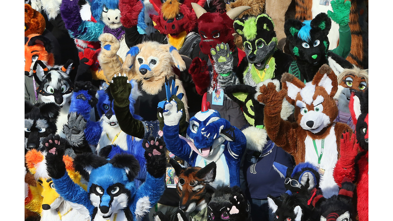 Eurofurence 2015