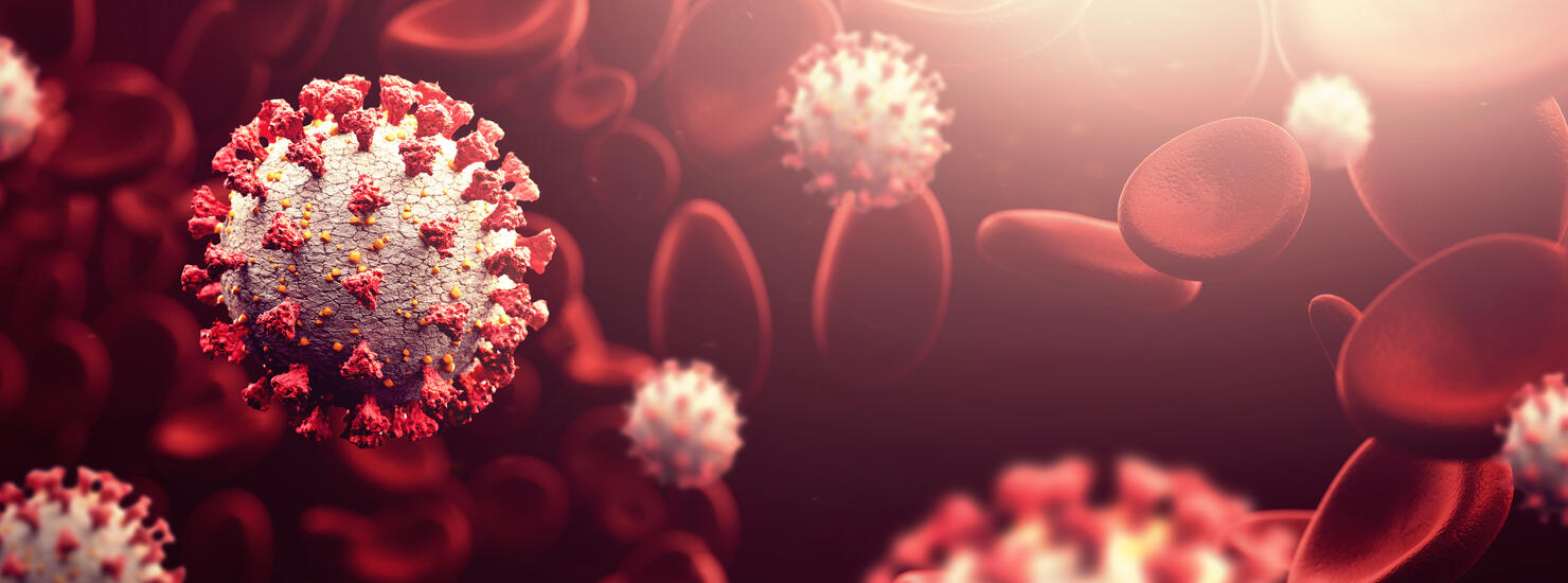 Corona virus close up wide shot in blood