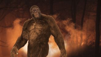 Bigfoot Terror / Emotions & Illness