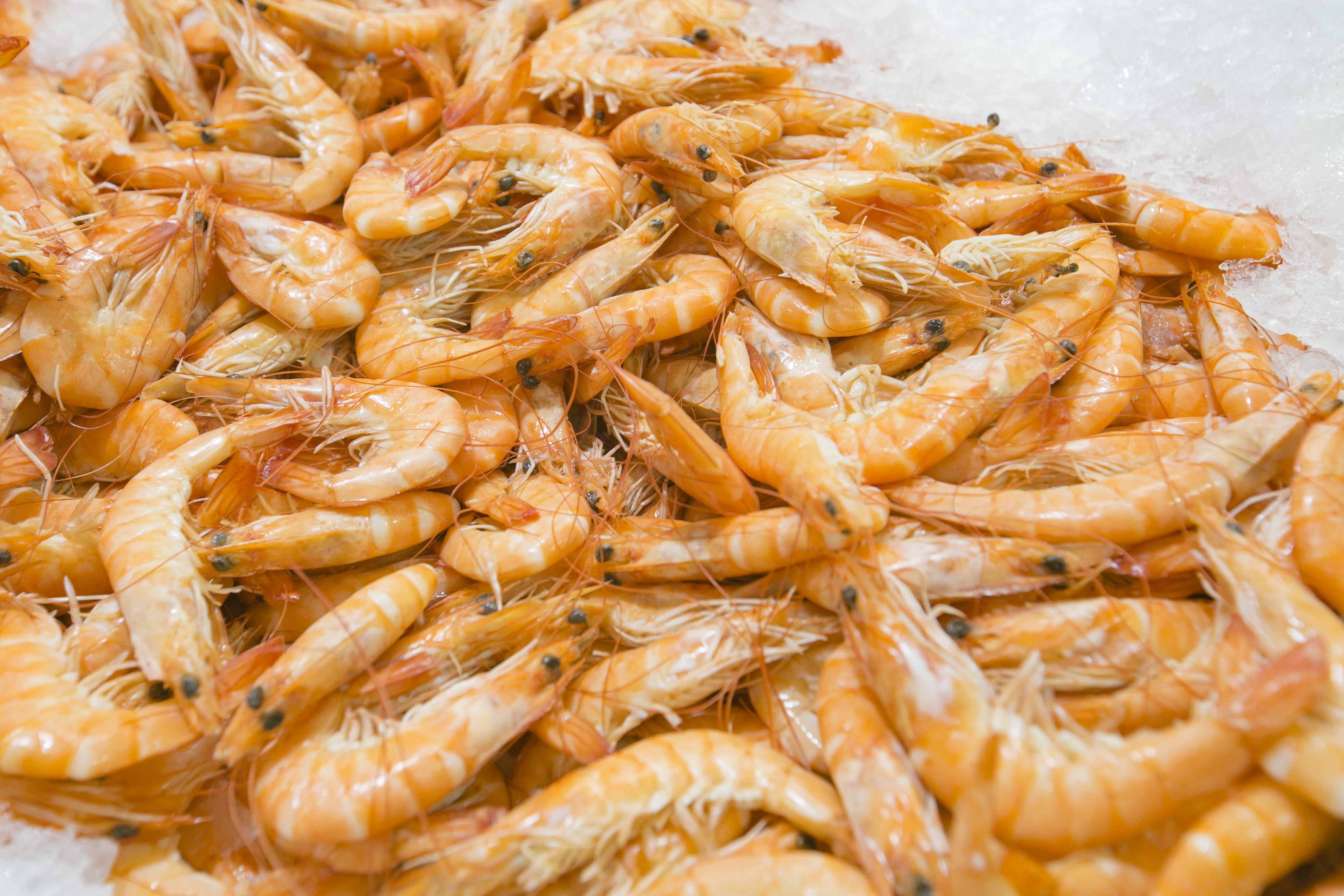 Man Busted With Cocaine Hidden In Bags Of Shrimp | iHeart