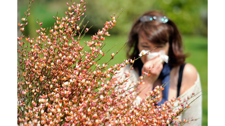 FRANCE-HEALTH-ALLERGIES-POLLEN