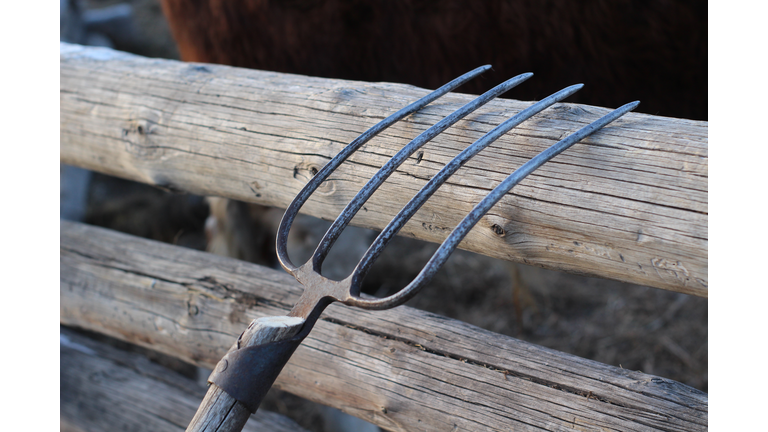 Hay Pitchfork on Wooden Fence Agricultural Equipment on Farmland