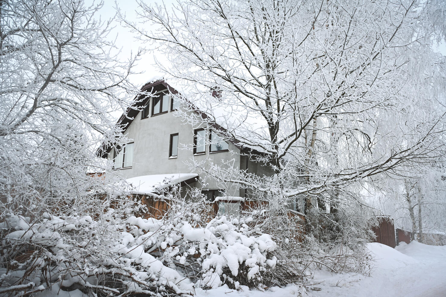 winter in the garden of a country house