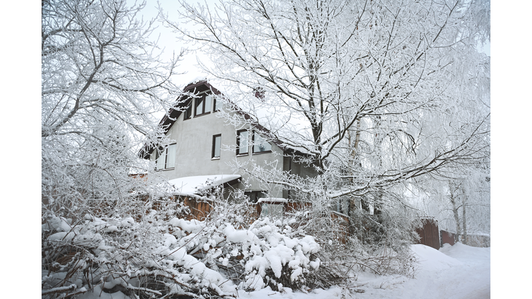 winter in the garden of a country house
