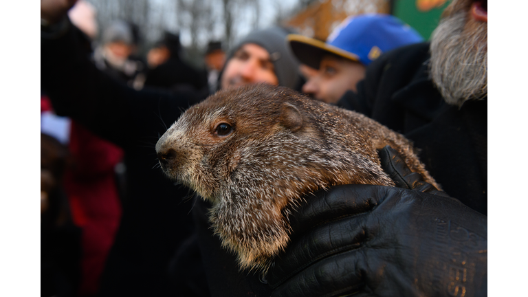 Crowds Gather To See Punxsutawney Phil On Groundhog Day In Pennsylvania