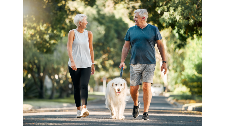 Retirement, fitness and walking with dog and couple in neighborhood park for relax, health and sports workout. Love, wellness and pet with old man and senior woman in outdoor morning walk together