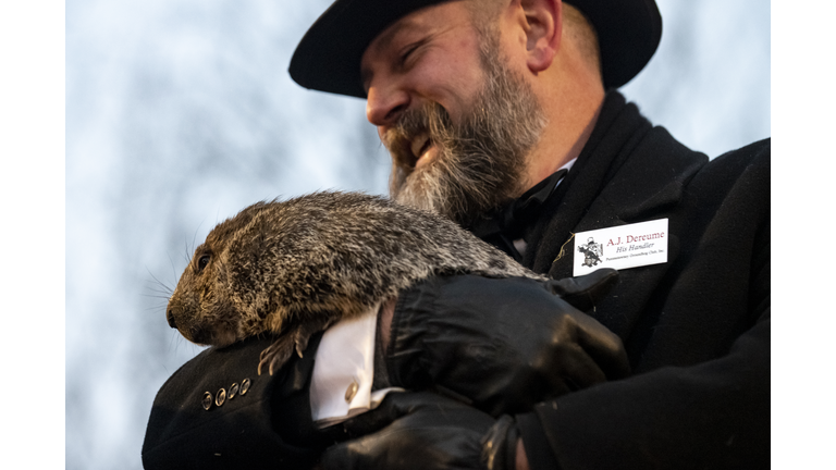 Punxsutawney Phil Looks For His Shadow In Annual Groundhog Day Tradition