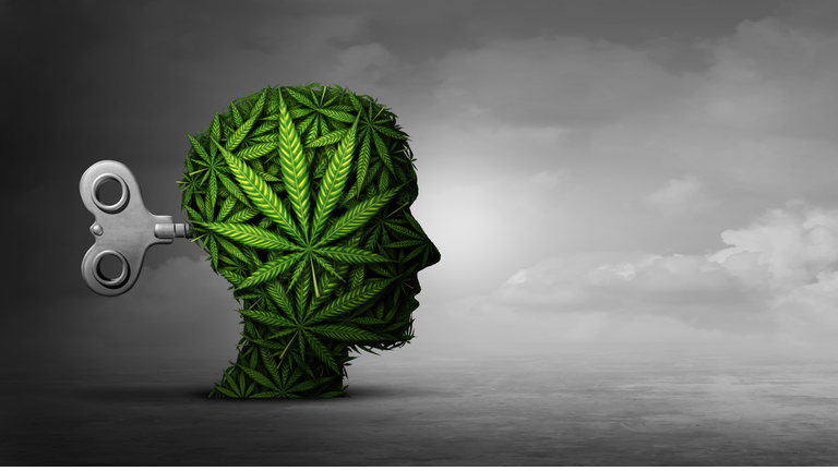 Cannabis And Mental Function