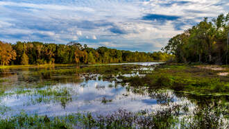 Texas Has One Of ‘America's Most Beautiful Springtime Destinations’