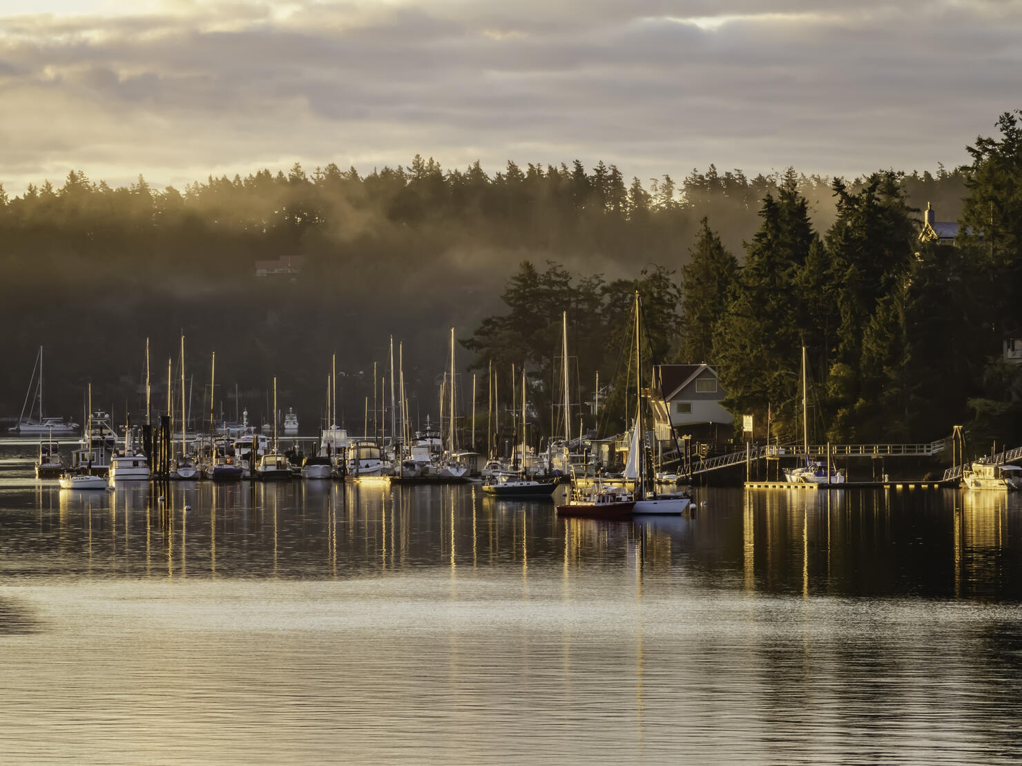 Harbor with morning fog in the Pacific Northwest