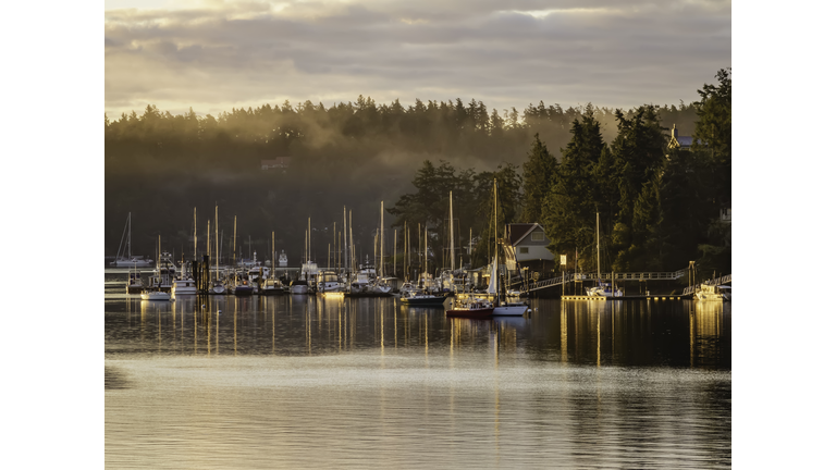 Harbor with morning fog in the Pacific Northwest