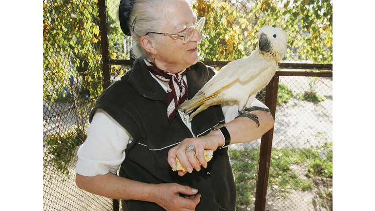 Bird Park Owners Cope With Anti Bird Flu Measures