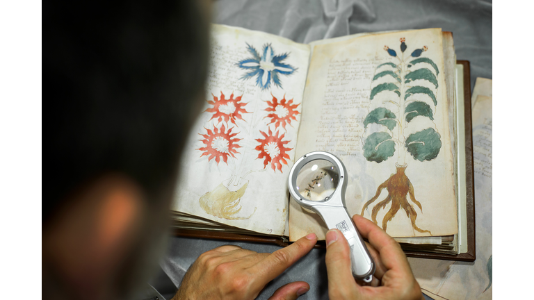 The Voynich Manuscript